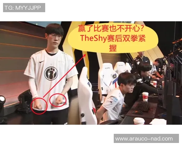 V5与IG的耐力较量赛后分析揭示团队韧性与策略深度