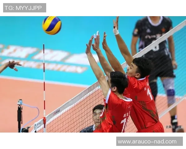 上海篮球队强势领跑精英赛积分榜积52分展现冠军实力 上海篮球队强势领跑精英赛积分榜积52分展现冠军实力