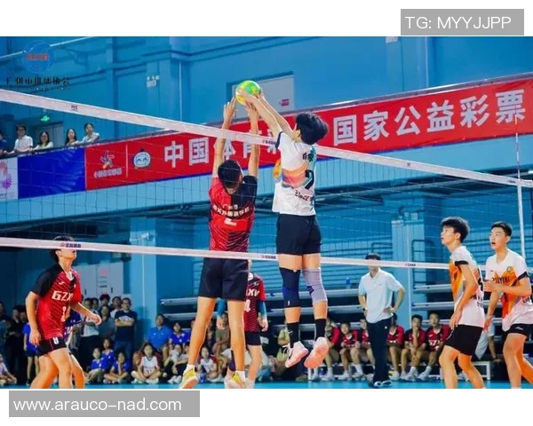 广州排球队在全国排球技术排行榜中荣获第八名展现实力与潜力