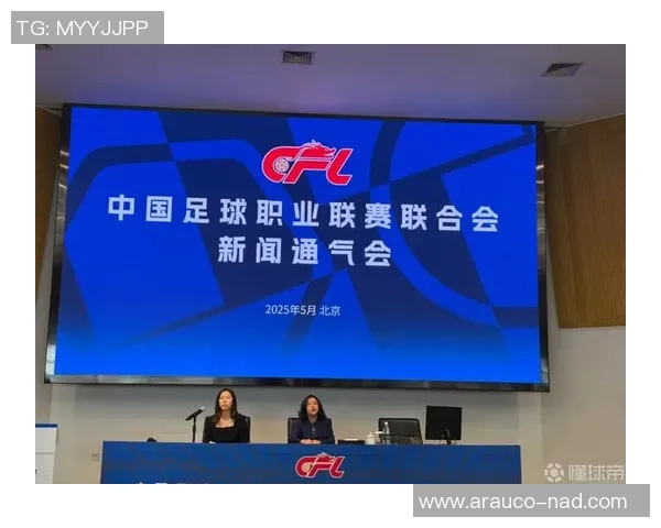 武汉足球队在足球比赛经验排名中创下新高引发广泛关注与讨论