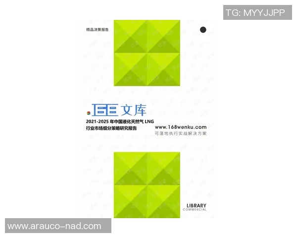 深入分析LNG行业运营策略与市场动态的全景解读 深入分析LNG行业运营策略与市场动态的全景解读
