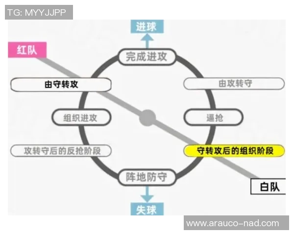 重庆足球队的控制体系解析与战术创新探讨