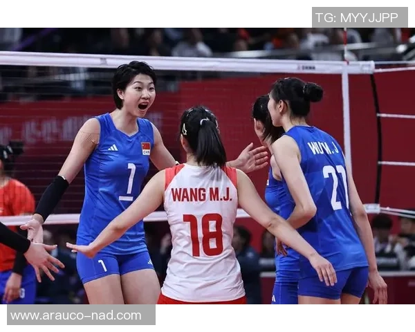 中国蓝队与印度精彩对决全场录像回放分析与精彩瞬间集锦