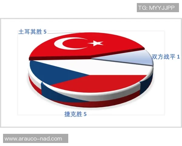 保加利亚与捷克激战欧洲杯争夺晋级名额的关键之战