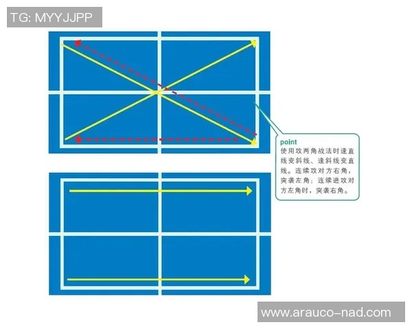 北京乒乓球队防反体系解析与战术运用探讨